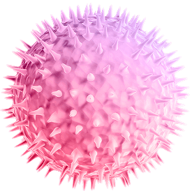 AD image 3
