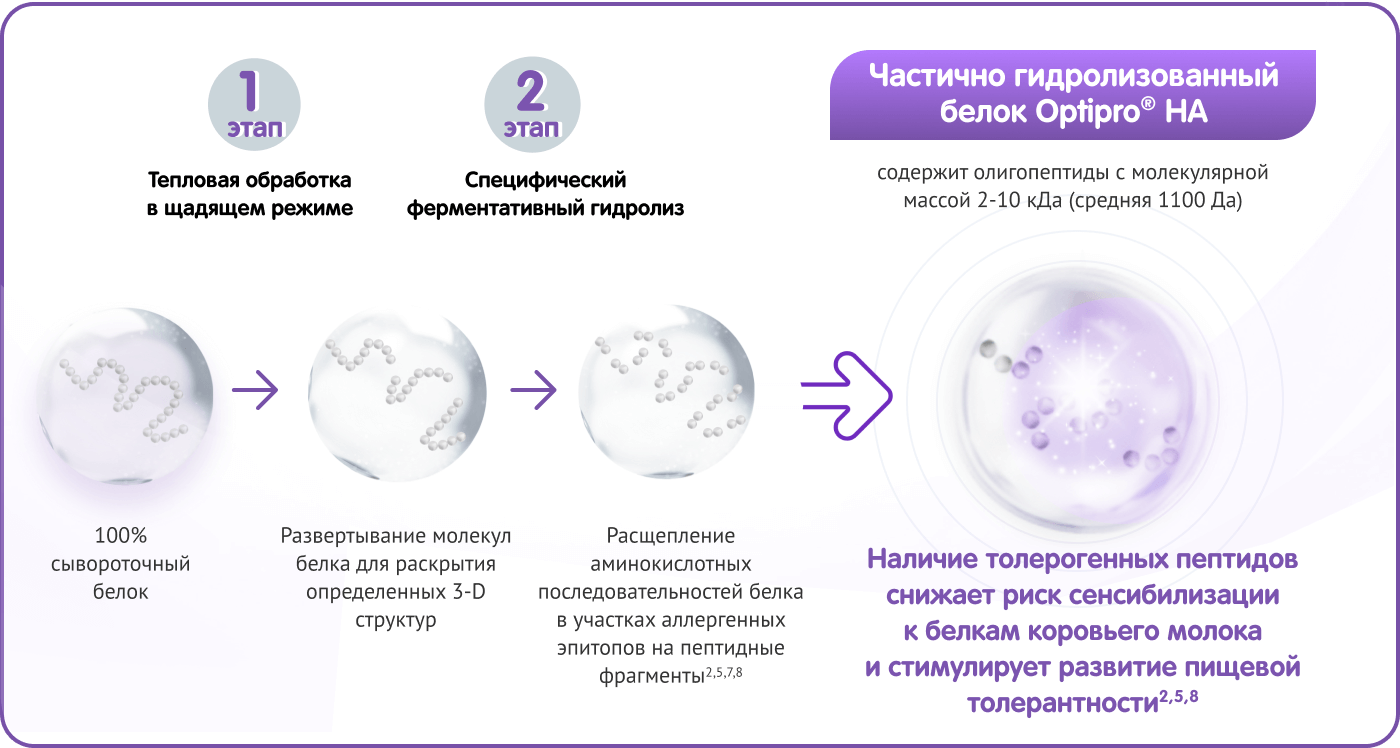 Belok scheme