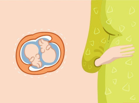 Развитие двойни по неделям беременности | Nestle Baby